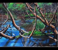  “Canning Wetlands 3” Kent Street Weir